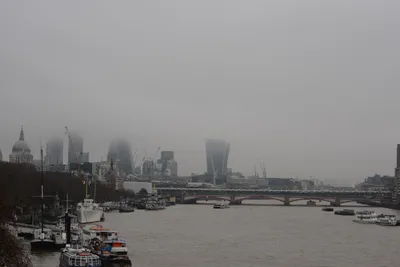 DSC_5827 (Large).JPG